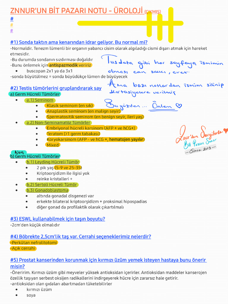 Znur - Un Bit Pazarı Notu - Üroloji (Ç) 2 | PDF