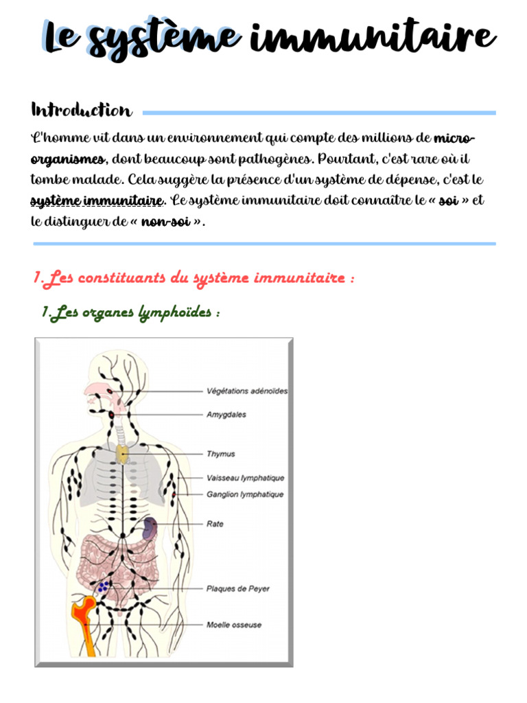 Comprendre le système immunitaire humain | PDF | Globule blanc ...
