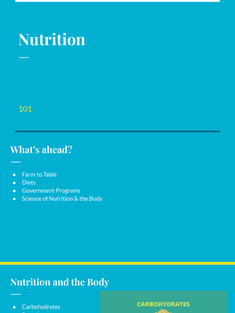 Comprehensive Guide to Nutrition Basics | PDF | Diet & Nutrition ...