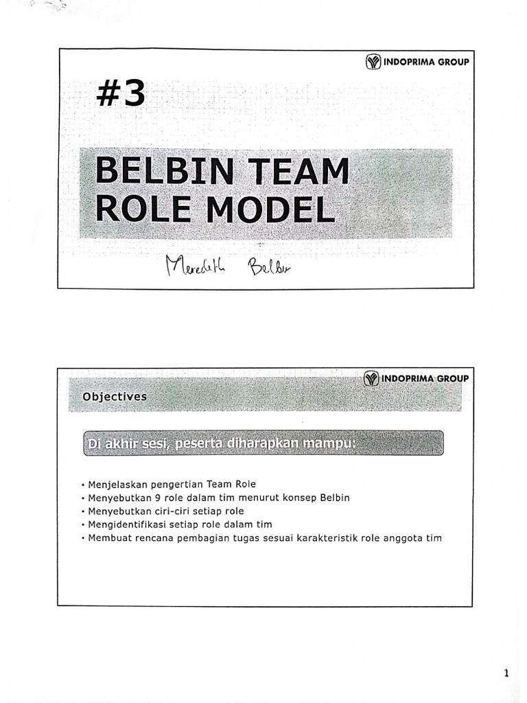 Belbin Team Role Model | PDF