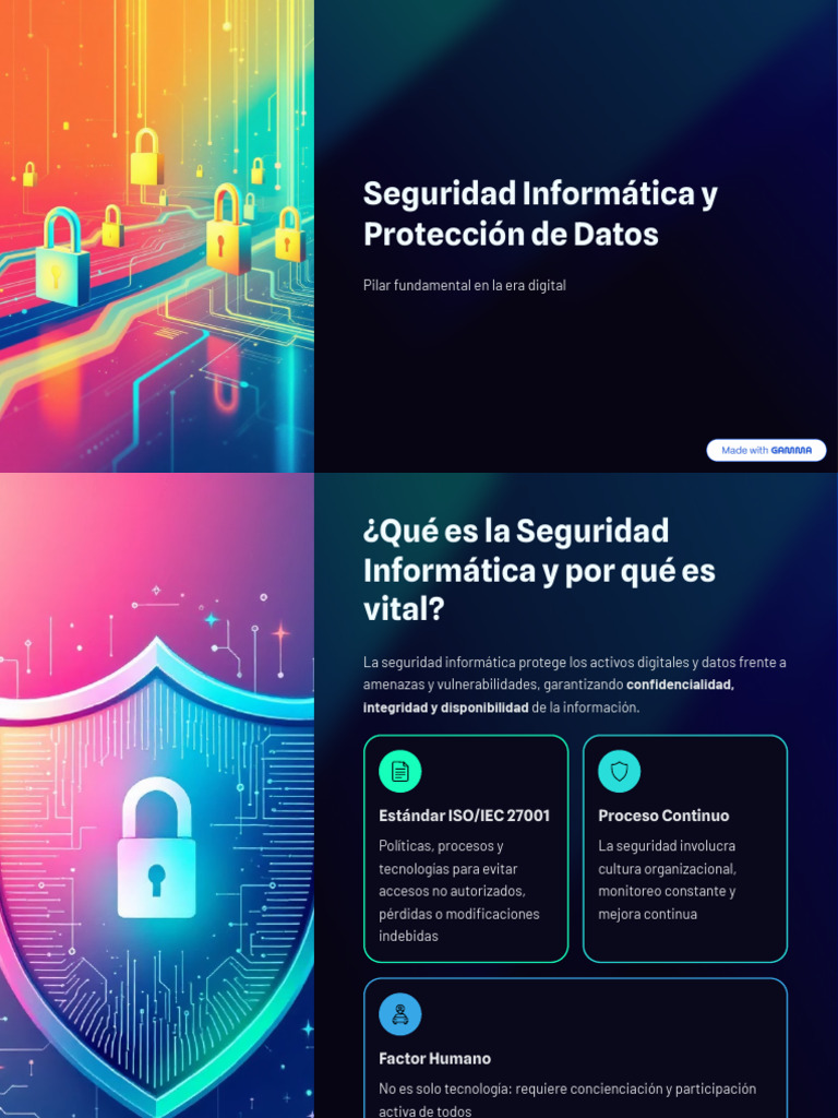 Seguridad Informatica y Proteccion de Datos | PDF