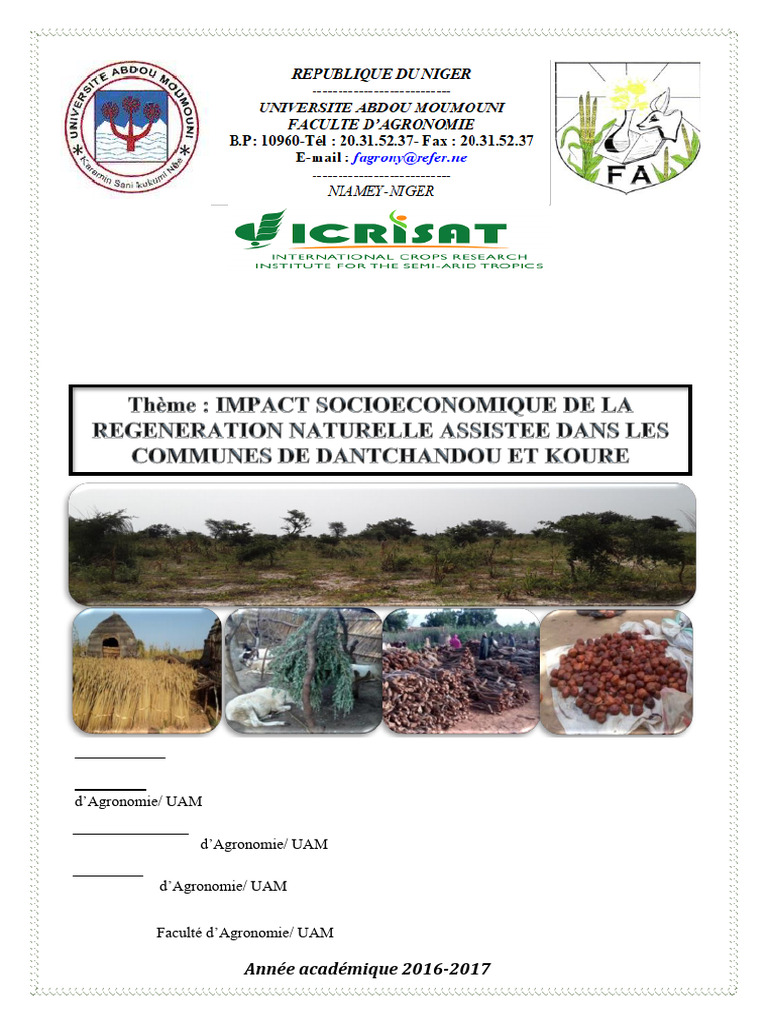 Économie Rurale : Étude de Kouré et Dantchandou | PDF | Agriculture | Forêt