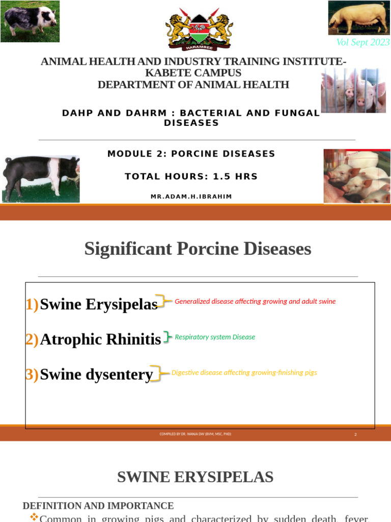 Module 2 Porcine Dses BFD 2024 | PDF | Pig | Diseases And Disorders