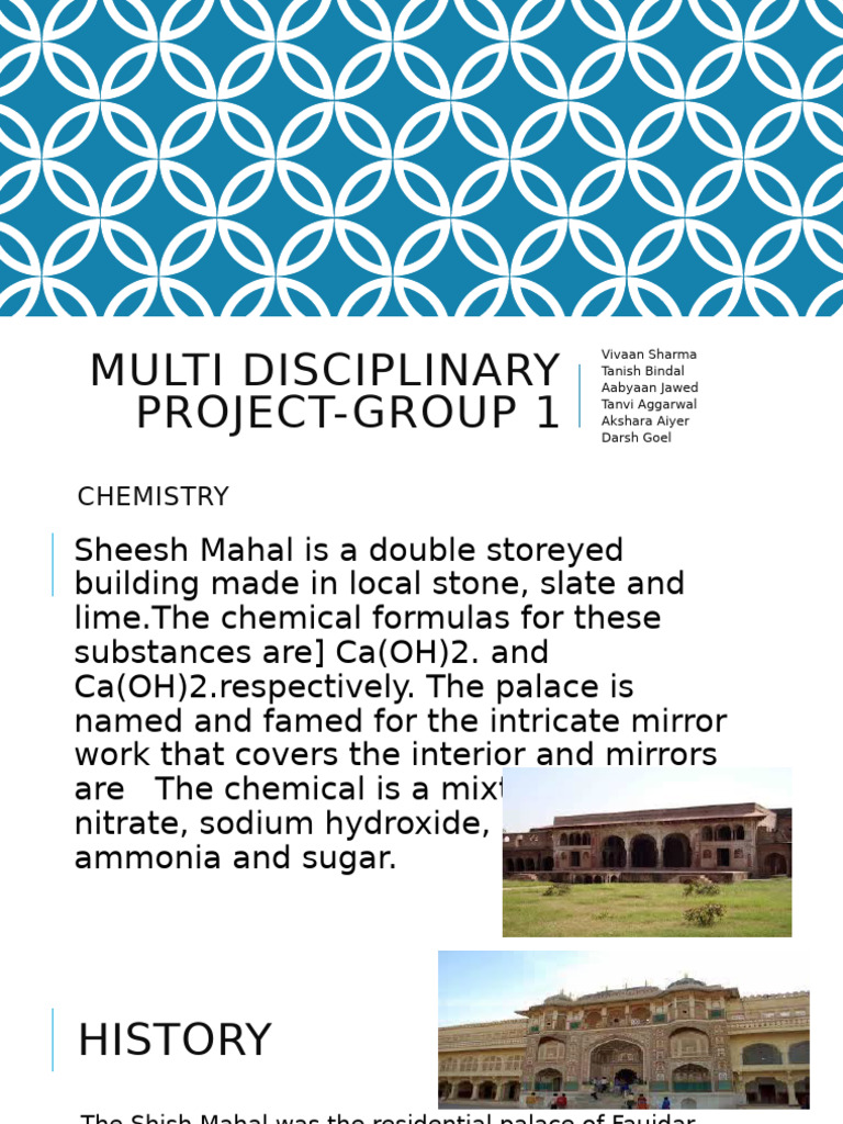 Multi Disciplinary Project-Group 1 | PDF | Birds | Ornithology