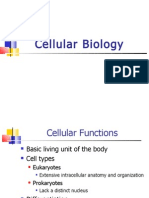 Cellular Biology Fall 08