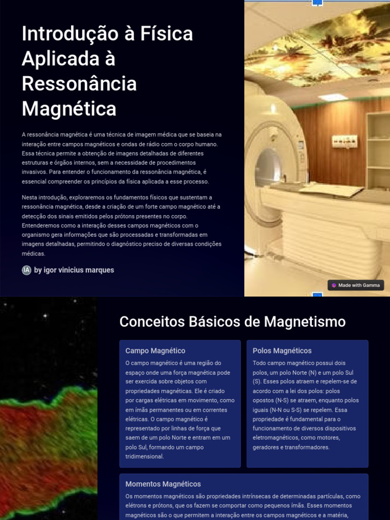 Introducao A Fisica Aplicada A Ressonancia Magnetica | PDF | Magnetismo ...