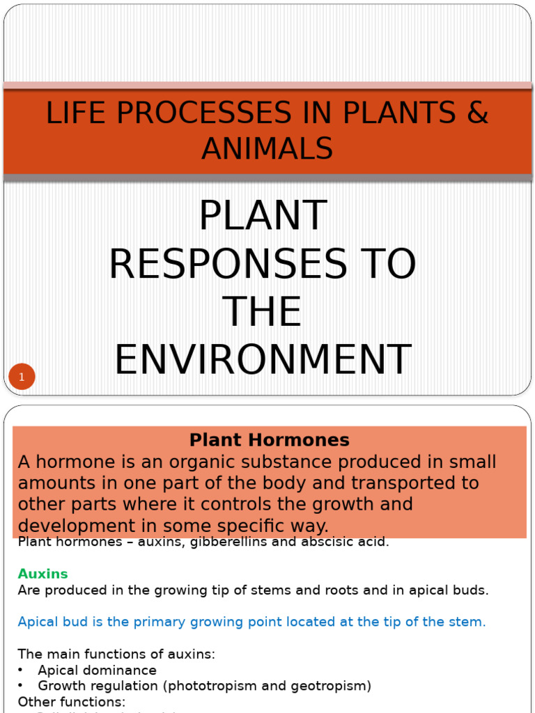 Plant Hormones and Growth Responses | PDF | Auxin | Root