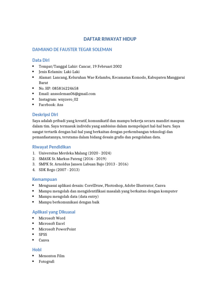 CV Damiano De Fauster Soleman | PDF