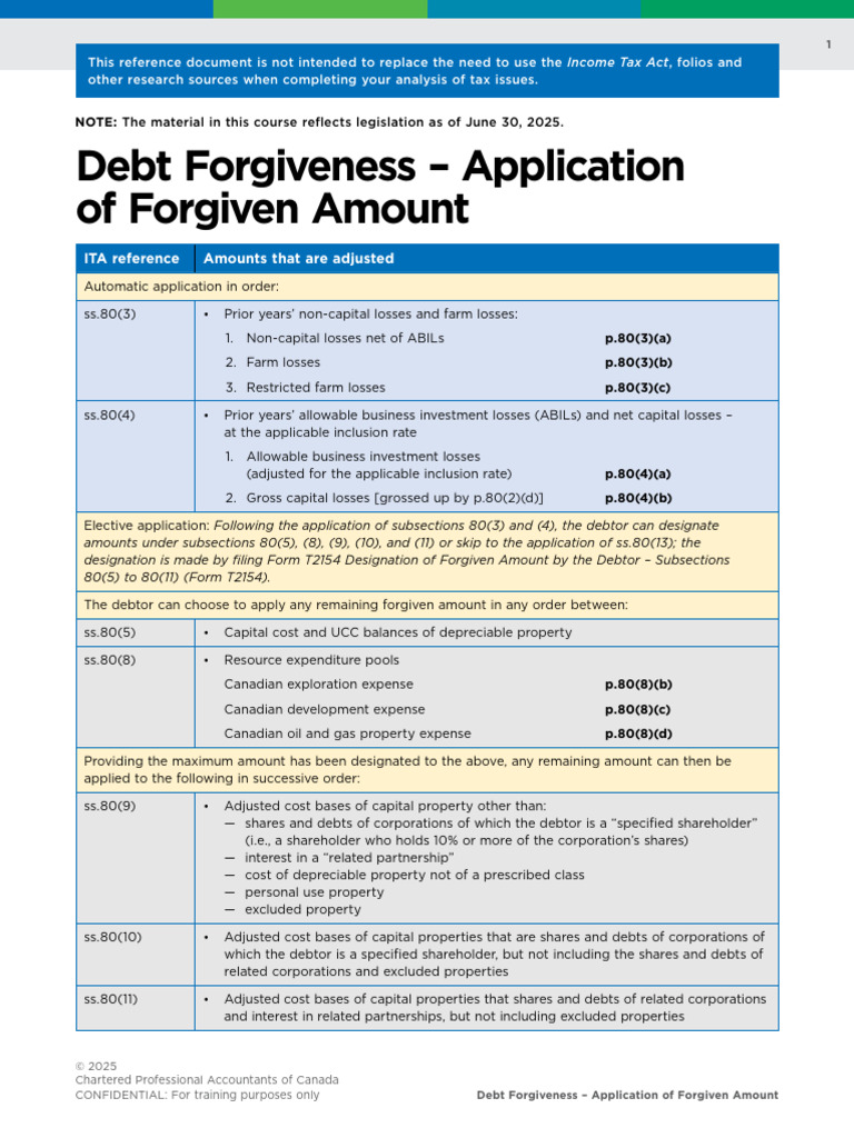 Debt Forgiveness Application Process | PDF | Debt | Expense