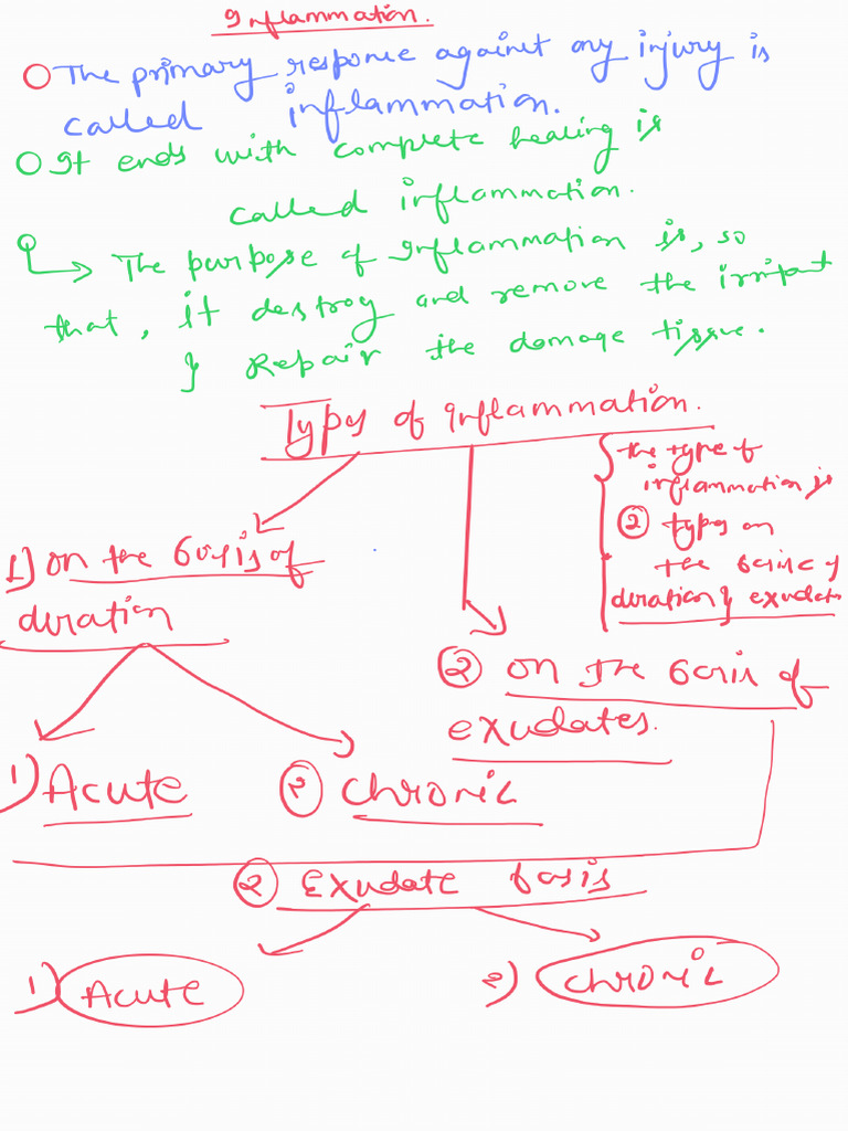 Inflammation 251025 123135 | PDF