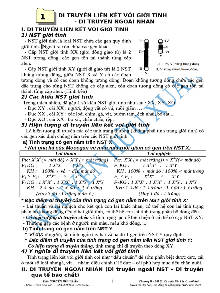 DTLK GT - DT Ngoai Nhan | PDF