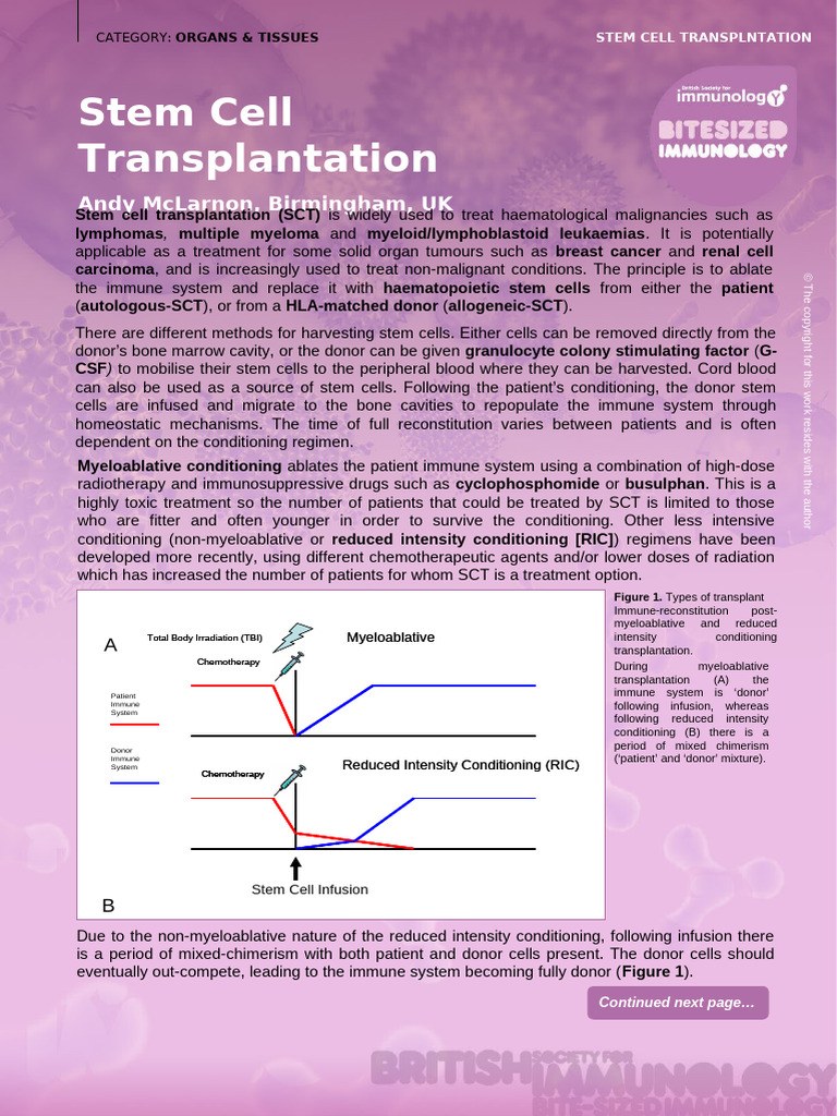 Stem Cell Transplantation | PDF | Hematopoietic Stem Cell ...