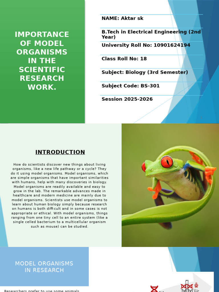 Role of Model Organisms in Research | PDF | Model Organism | Genetics