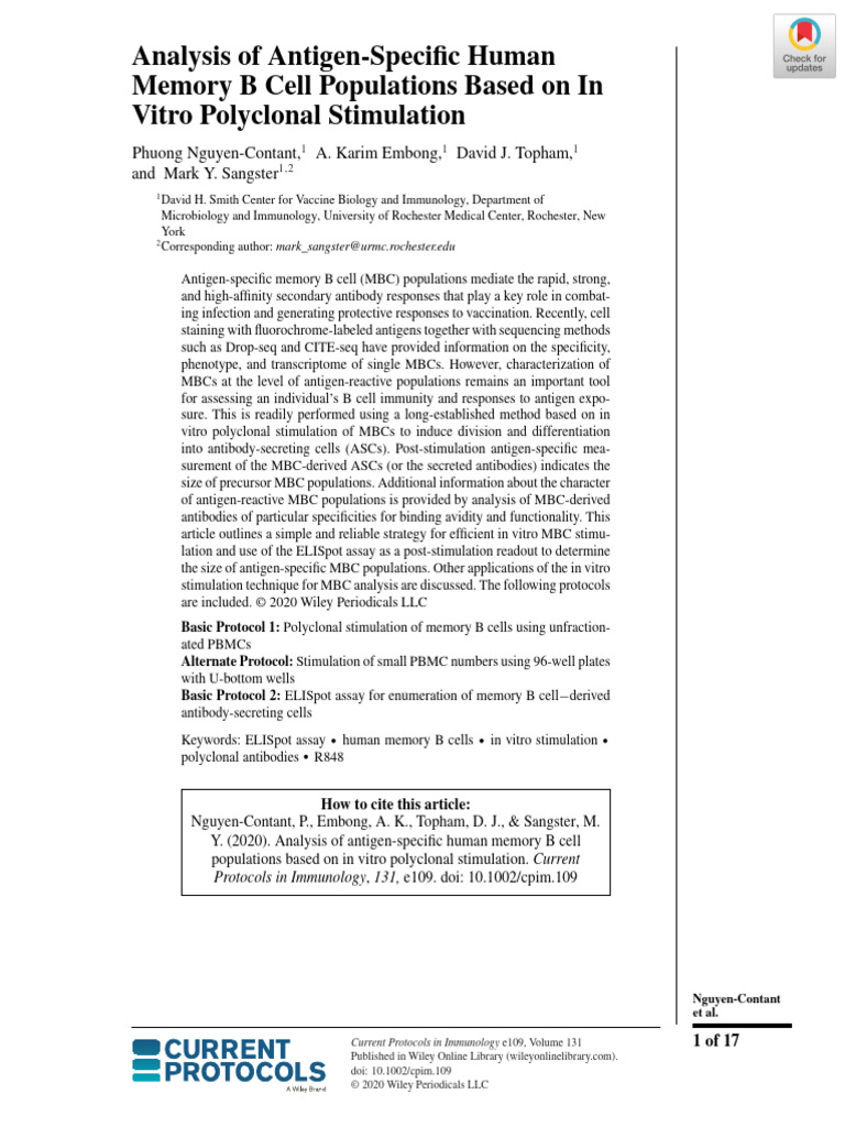 In Vitro Protocol for B Cell Stimulation | PDF | B Cell | Antibody