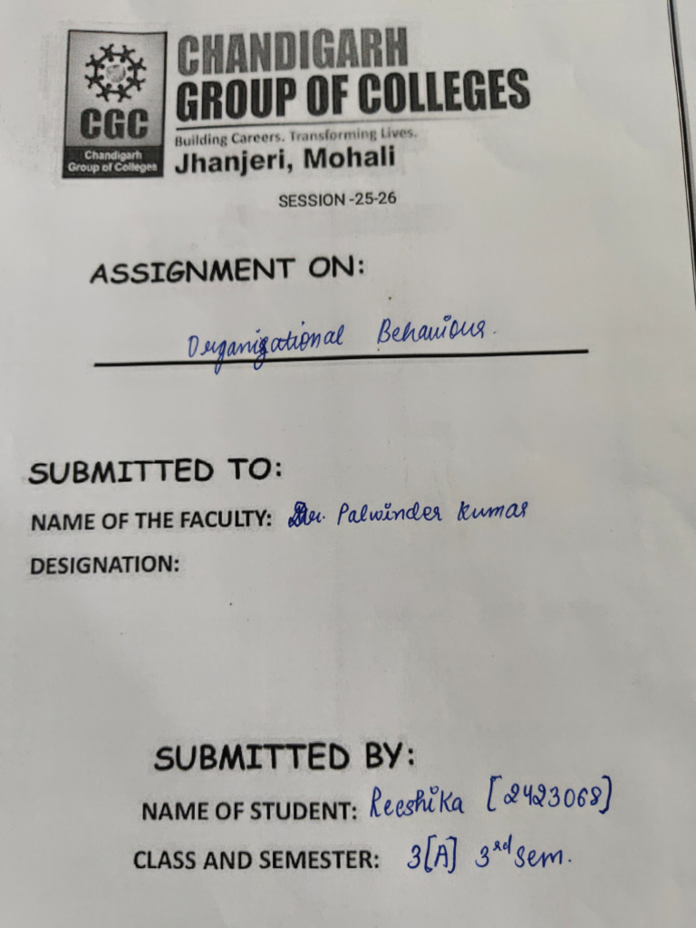 CGC Chandigarh Assignment Overview | PDF