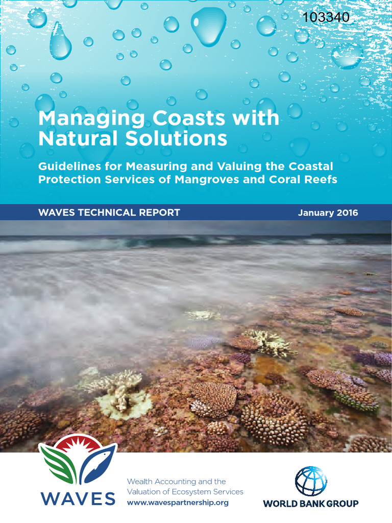 Managing Coasts With Natural Solutions Guidelines For Measuring and ...
