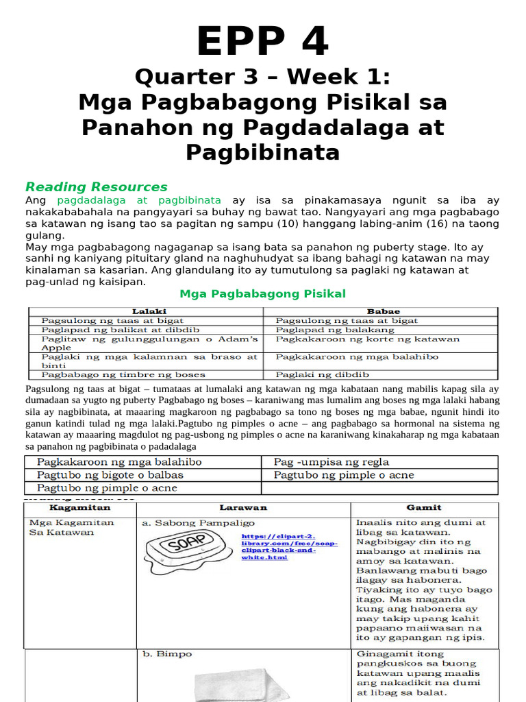 Epp4 Quarter 3 Week1 | PDF