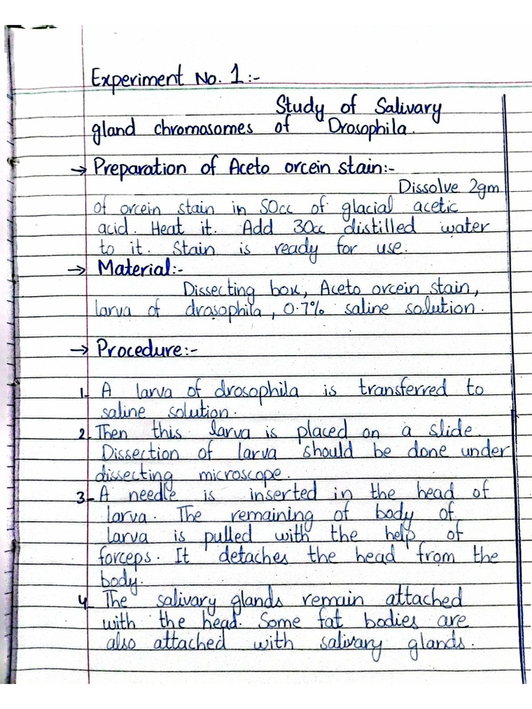 Genetics Practical Pdf