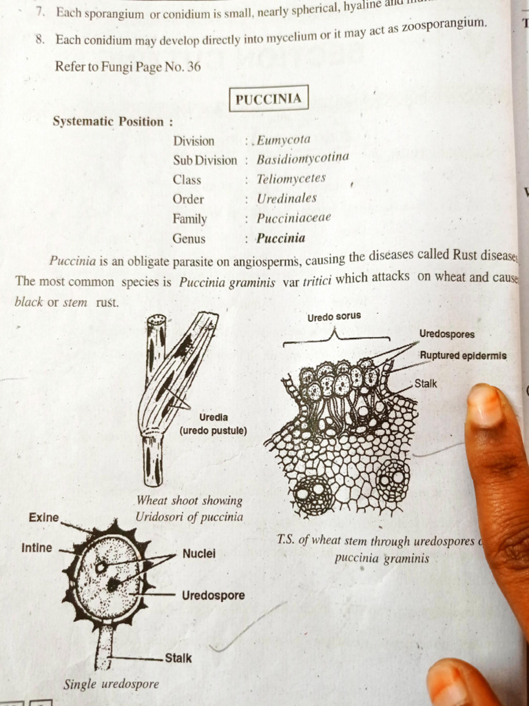 Practical Sem 1 PDF 2 | PDF