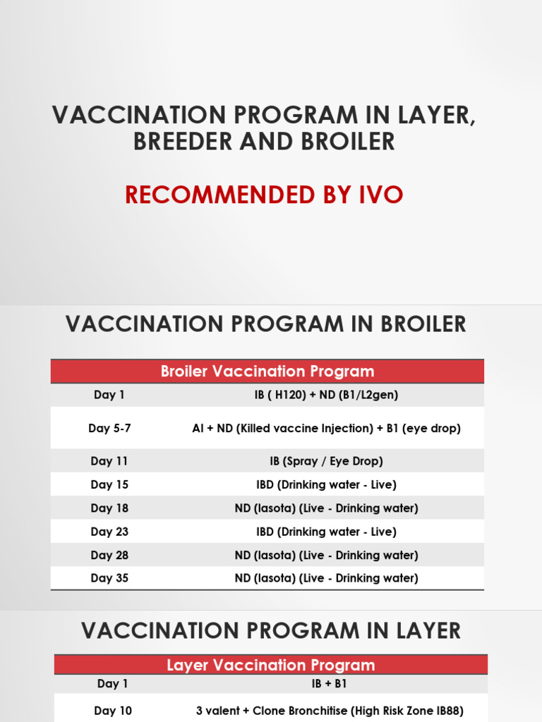 Vaccination Program in Layer, Breeder and Broiler | PDF | Vaccination ...