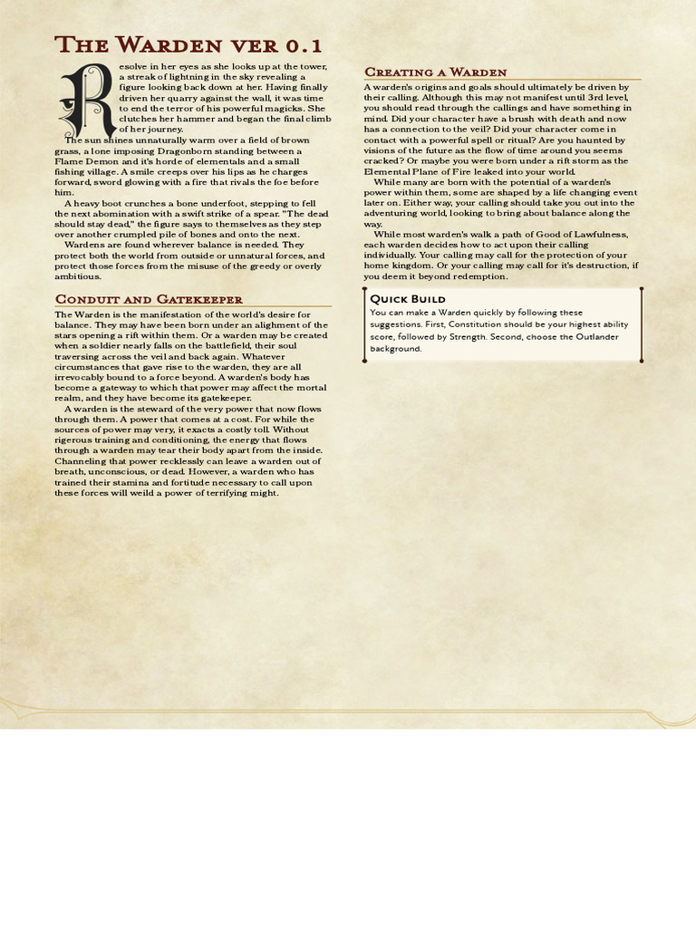 Warden Class Overview and Features | PDF