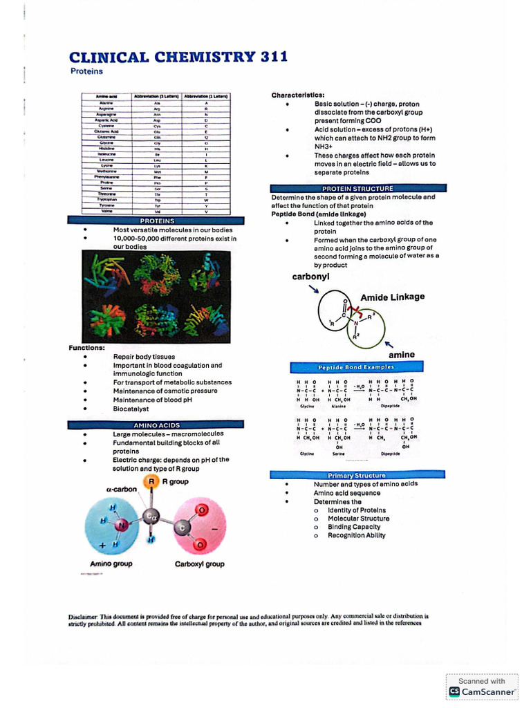 11 Proteins | PDF