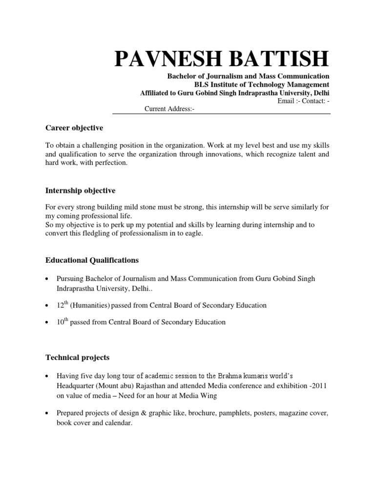 Pavnesh Battish: Journalism Resume | PDF | Business | Art