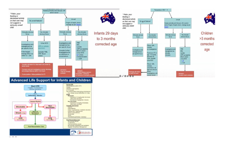 Pedia To Print | PDF