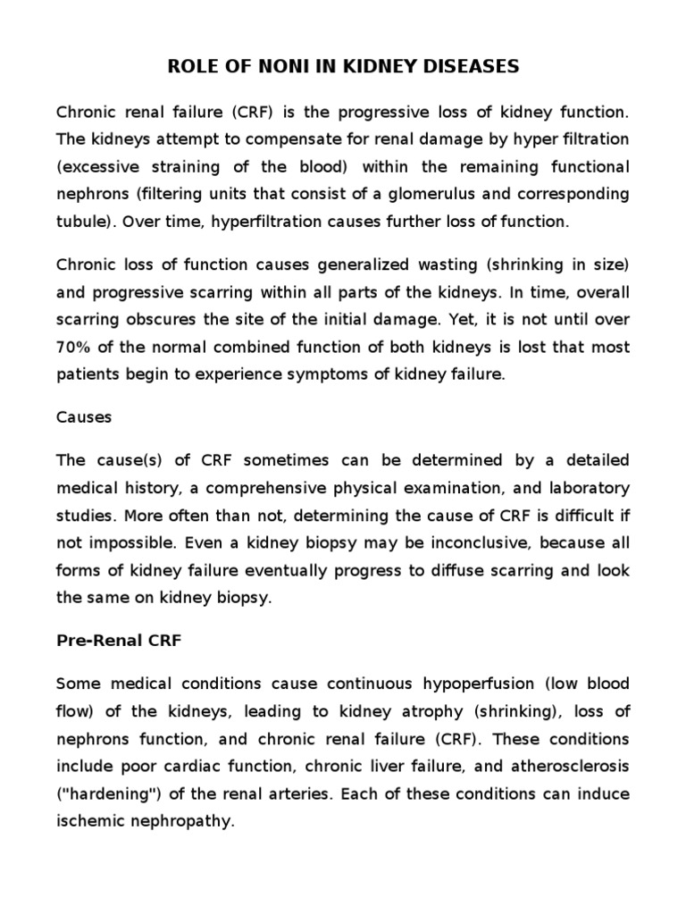 Role of Noni in Kidney Diseases PreRenal CRF PDF Kidney Antioxidant