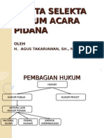 Hukum Acara Pidana 2