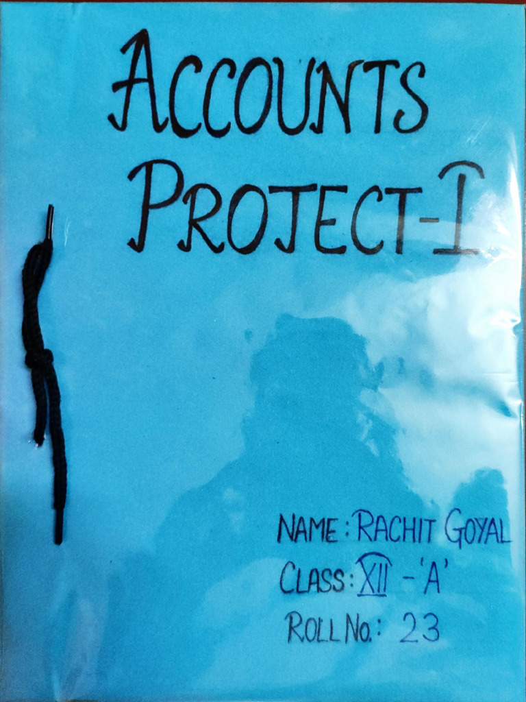 Accounts Project - 1 | PDF