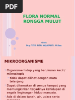 Flora Normal