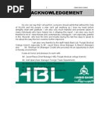 26118207 Recommended Internship Report HBL