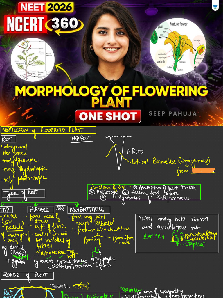 Morphology of Flowering Plants - One Shot | PDF