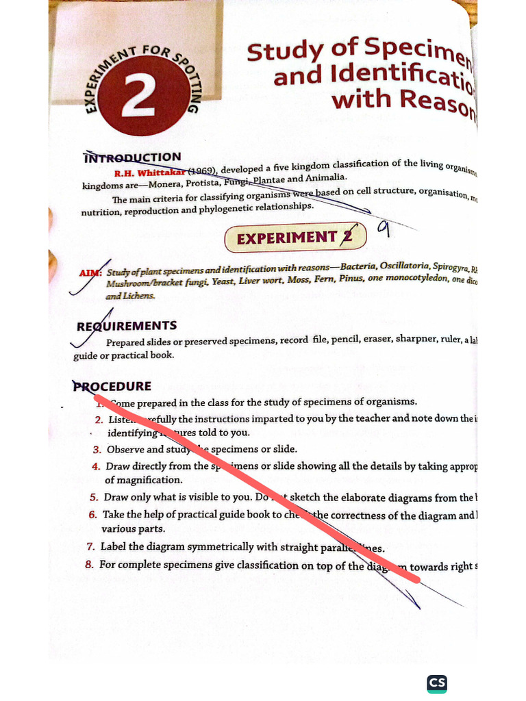 Experiment 9 | PDF