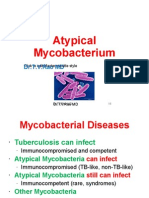 Atypical Mycobacterium