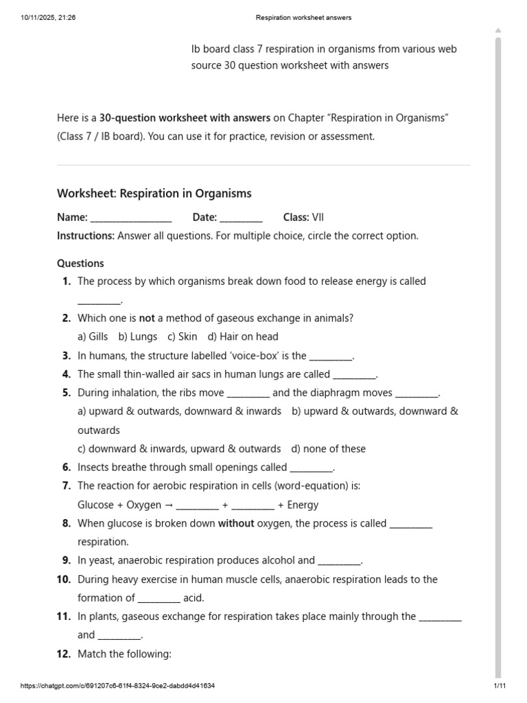 Class 7 Respiration Worksheet with Answers | PDF | Respiratory System ...