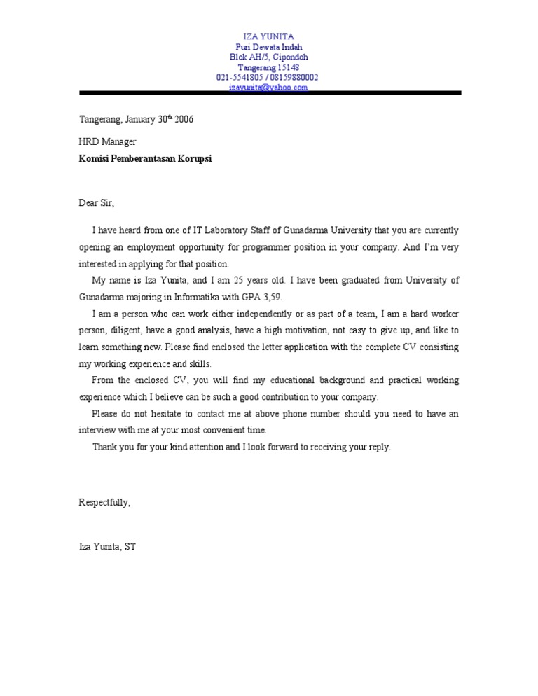 Job Application for Programmer Position | PDF