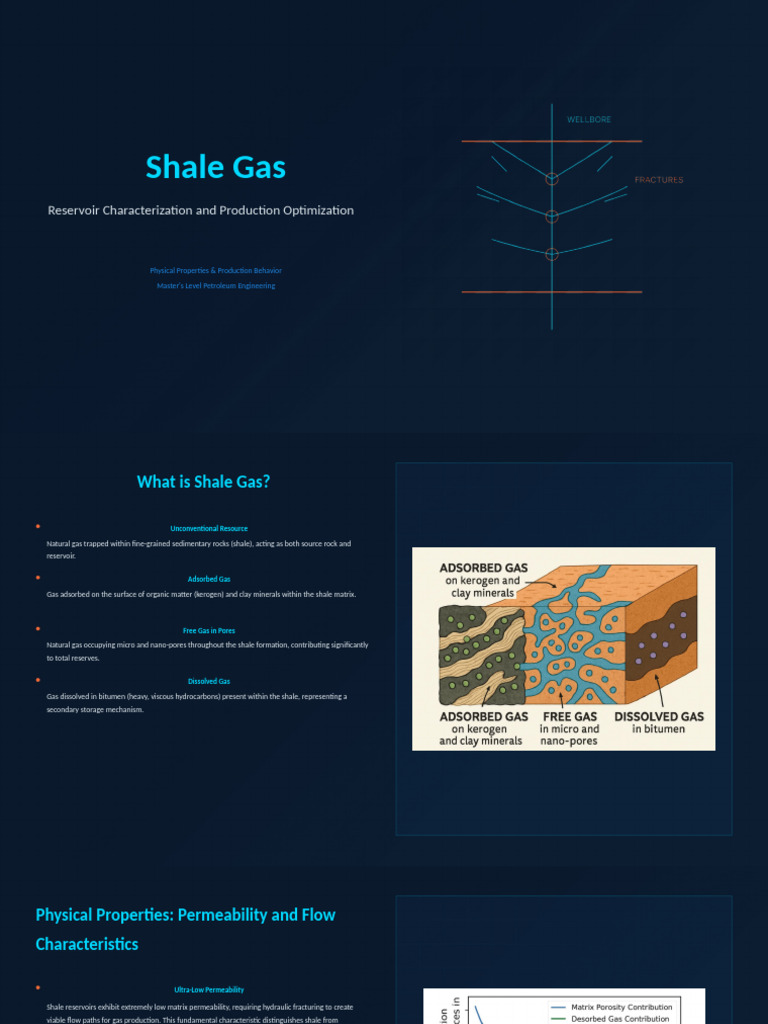 Shale Gas Reservoir Characterization and Production Optimization | PDF ...