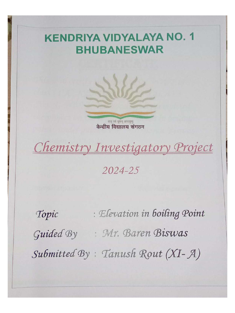 First 3 Pages of Project | PDF