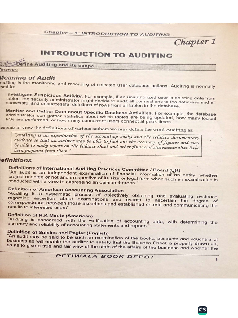 Auditing Chapter 1 | PDF