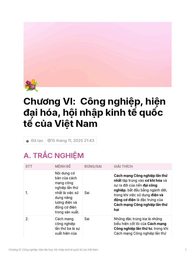CHNG VI CNG Nghip Hin I Ha Hi NHP Kinh T Quc T CA Vit Nam | PDF