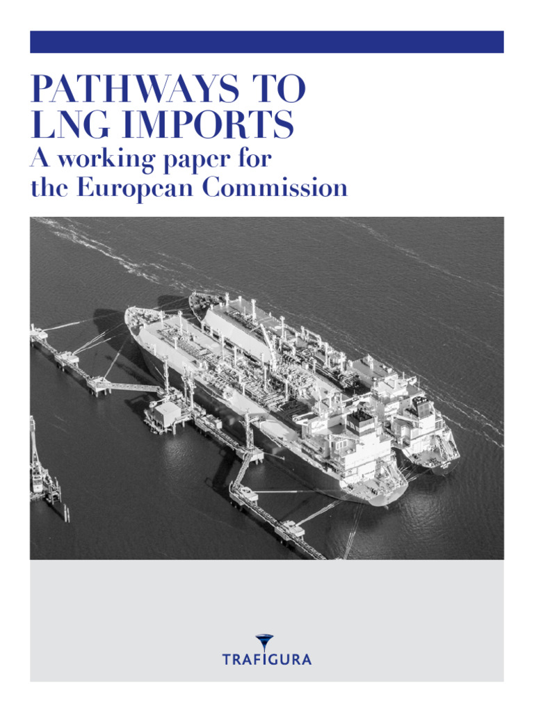 LNG Import Strategies for Europe | PDF | Liquefied Natural Gas ...