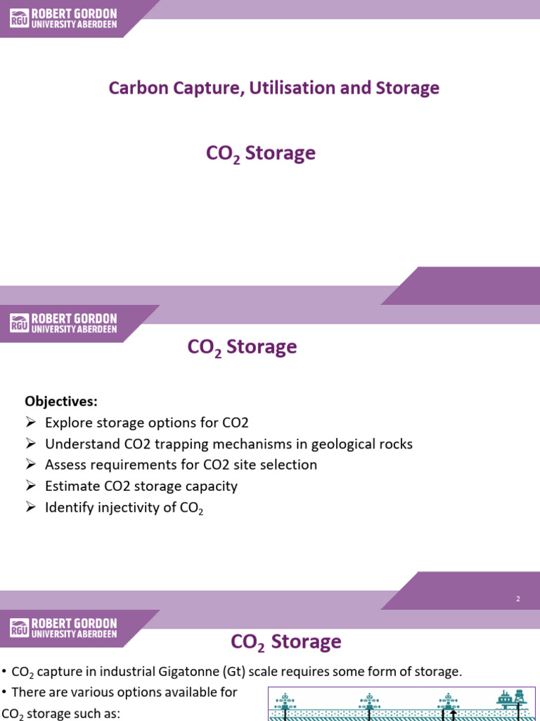 CO2 Storage Methods and Capacity Analysis | PDF | Petroleum Reservoir ...