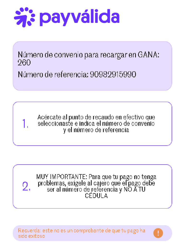 Instructivo Pago Efectivo | PDF