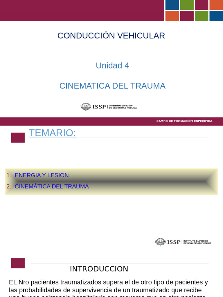 Cinemática del Trauma en Accidentes Vehiculares | PDF | Cinturón de ...