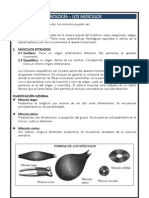 Miología - Musculos - Artrologia - Articulaciones