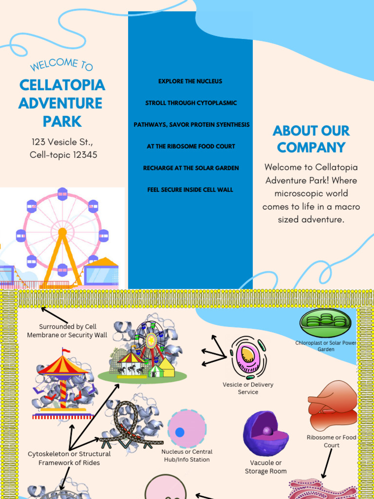 Cellatopia Adventure Park | PDF
