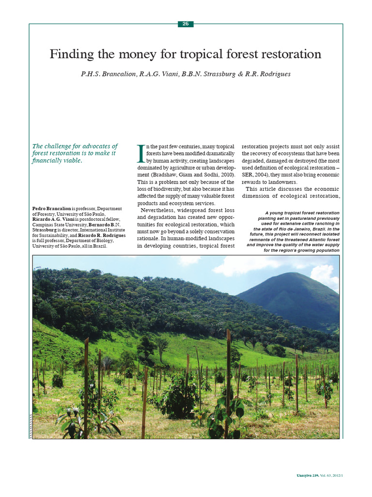 Economic Viability of Tropical Forest Restoration | PDF | Forests ...