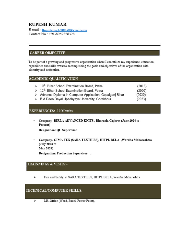 Rupesh Kumar - Resume and Career Overview | PDF